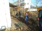 GardenProject (68)